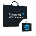 Papiertasche SW 300*240*90mm
